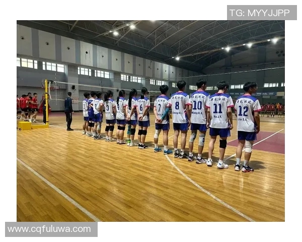 最新排球实力排行榜揭晓深圳排球队稳居第一名引领风骚